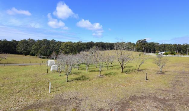 House and land package, large lot living, rural/residential estate, inglewood estate, Jervis Bay Rural, Tomerong, Huskisson Real Estate, Jervis Bay Real Estate, Real Estate Agents Jervis Bay, Integrity Real estate, Ray White Jervis Bay, Oz Realty Huskisson, Elders Huskisson, New estate living, Investment property on south coast, Jervis Bay holiday, jervis bay getaway, Huskisson Apartments, Vincentia, South Coast NSW,  huskisson, Woollamia Village, Investment Property, Holiday House